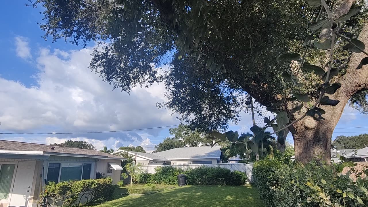 Backyard Clouds