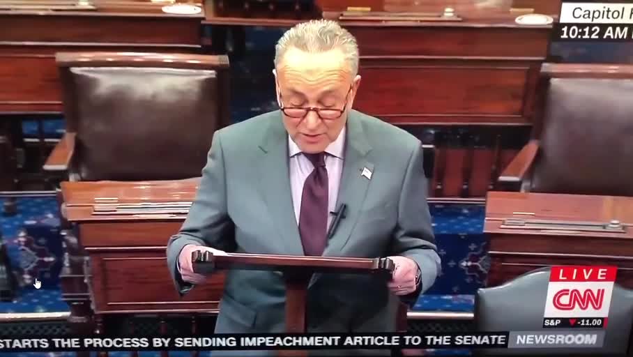 Chuck Schumer - Donald John Trump incited the Erection