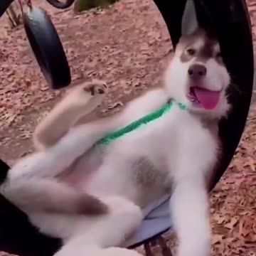 The happy simpler days of my childhood 😍😍