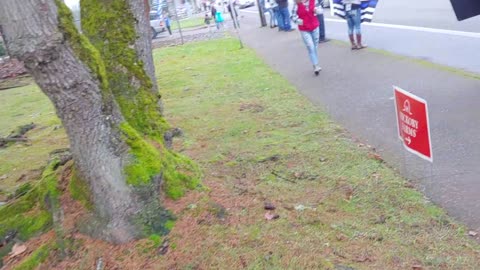 Stop the Steal Roseburg, Oregon Trump Rally