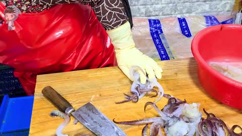 Korea Street Food SQUID SASHIMI