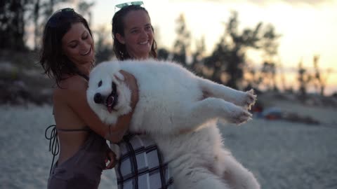 Two beautiful women and a dog