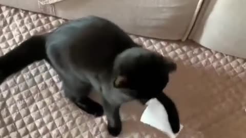 Funny Animal Videos 2024 Best Dogs And Cats Videos 😺😍 # 22