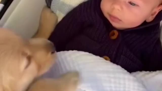 Baby sleeps with a dog