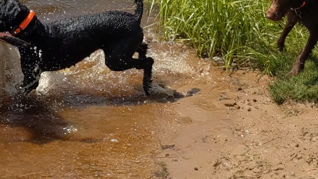 Not giving up the stick