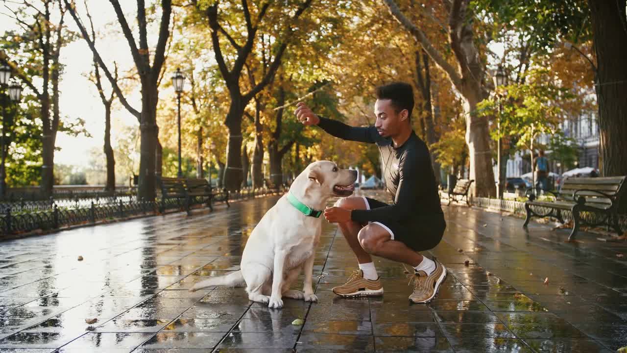 Young man training and playing with his white dog through the city park during beautiful autumn