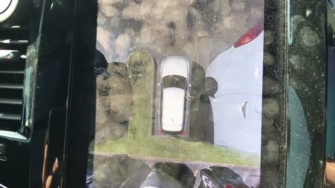 Curiosidades Americanas e Armas