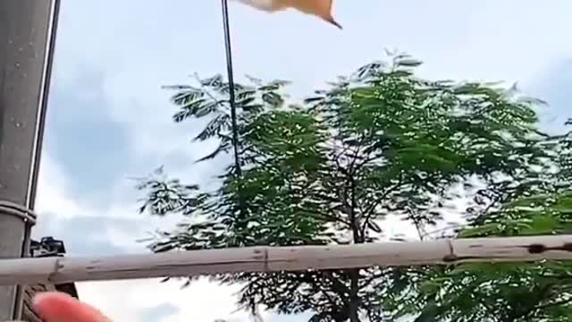 Honestly I can't stop watching this - I believe I can fly