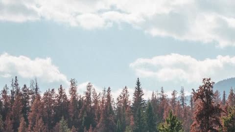 Relaxing Music | Sleeping, Meditation, Stress Relief | [1625] ⭐️