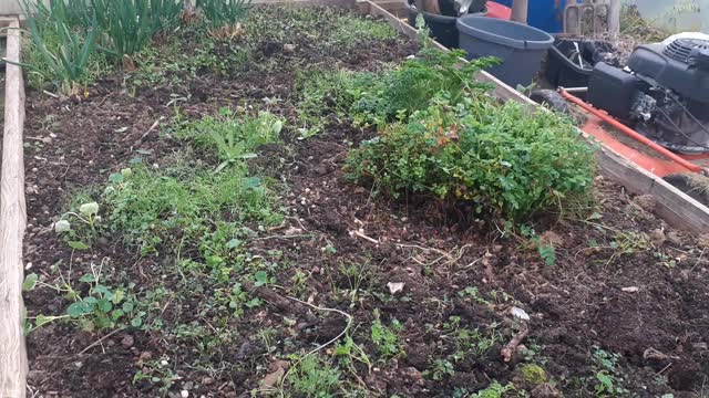 Introduction to an off-grid small-holding in Devon (England) Part 2