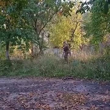 Interesting way of demining