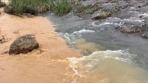 22_0610 頭汴坑溪