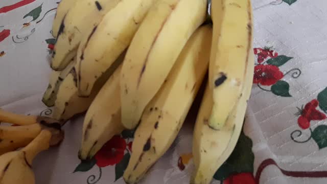 Banana Gulosa do Piauí - Preço da banana Piauí