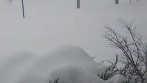 3+ foot of snow in 24 hours Lake George New York