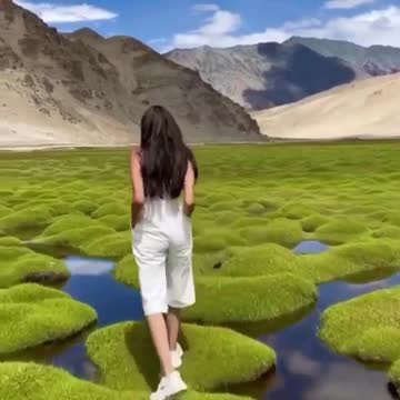 What a beautiful swamp 😍