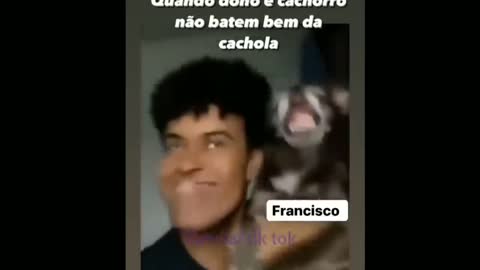FAILS - TRY NOT TO LAUGH - CHALLENGE