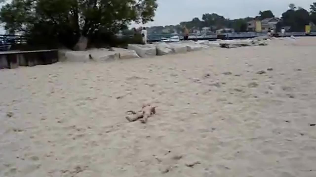 Matt and Zach Beach lil Naked