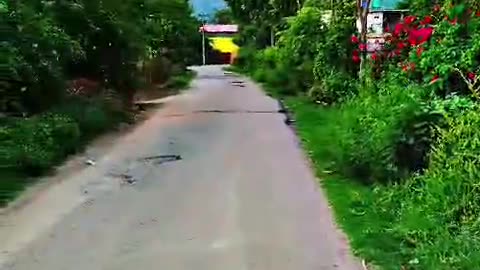Nice areas