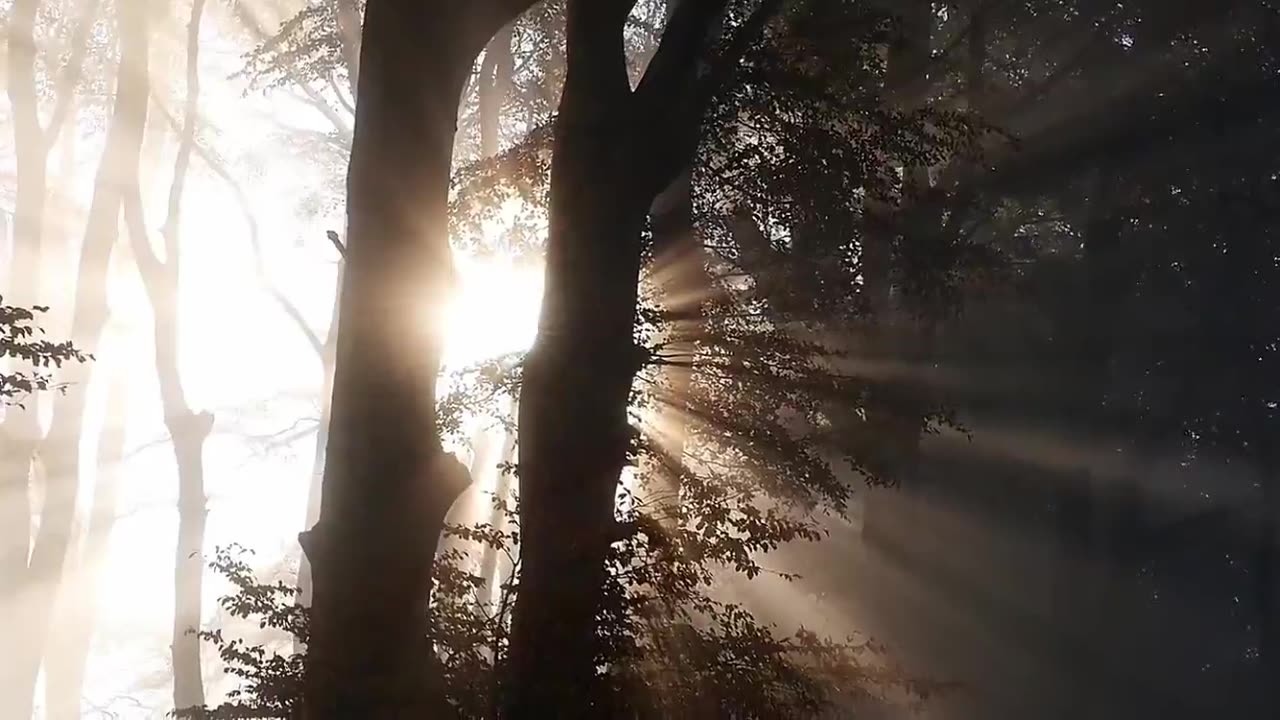 Nature of the world with slow piano music - Beauty Of Nature