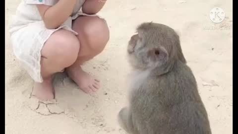 Cute and unique monkey to