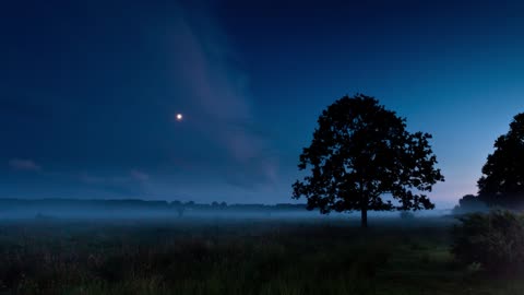 Summer Lunar Seasonal Meditation