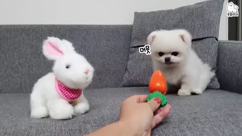 Cute Puppy with artificial Rabbit..