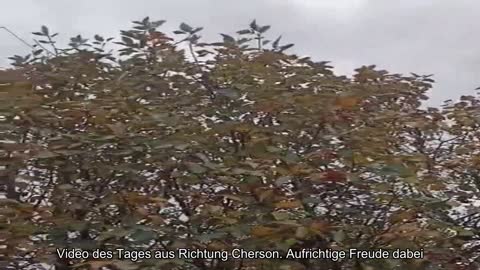 ️Video des Tages aus Richtung Cherson. Die Jungs sind richtig glücklich