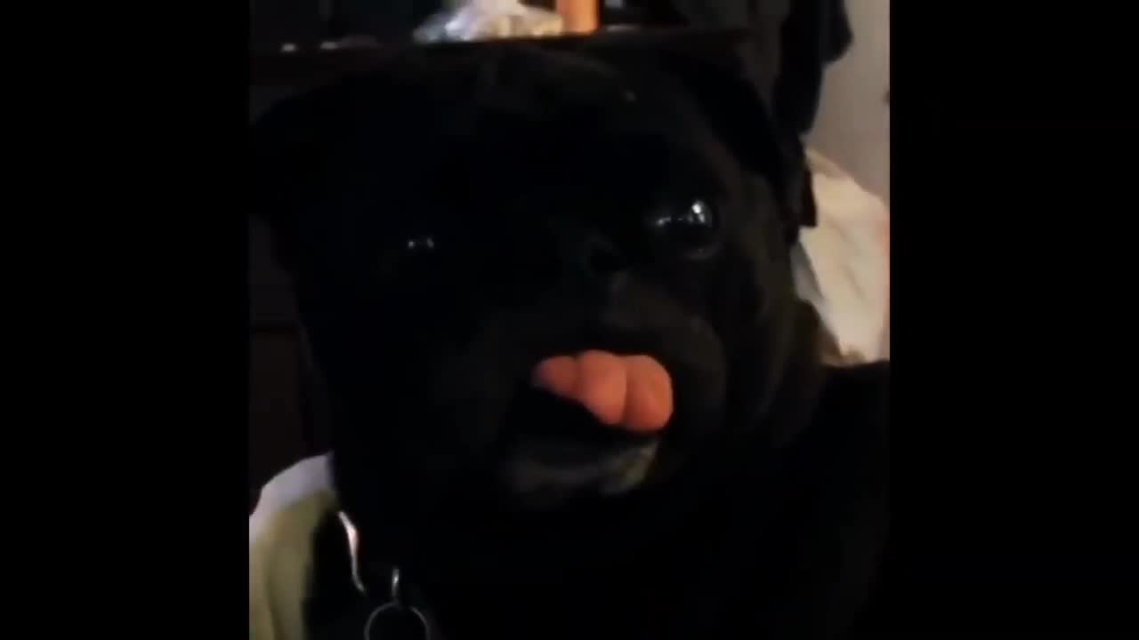 A little lick can, yes?