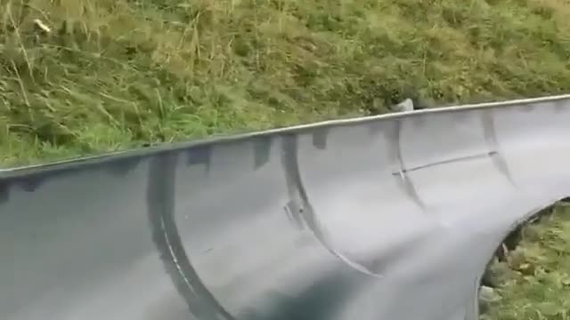 Swiss Alps Toboggan Ride