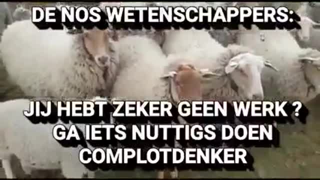 Het Wappie Journaal