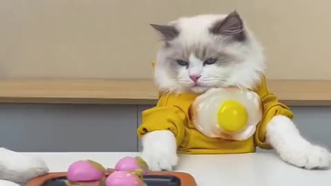 Behind every successful Eggburger, 😂 woow