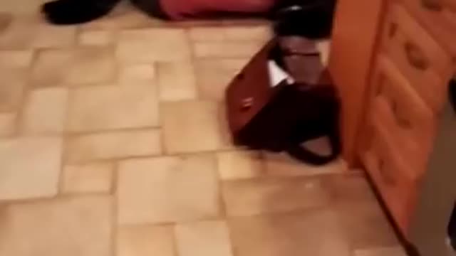 Cooking Disaster
