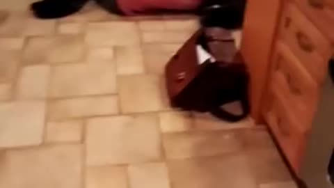 Cooking Disaster