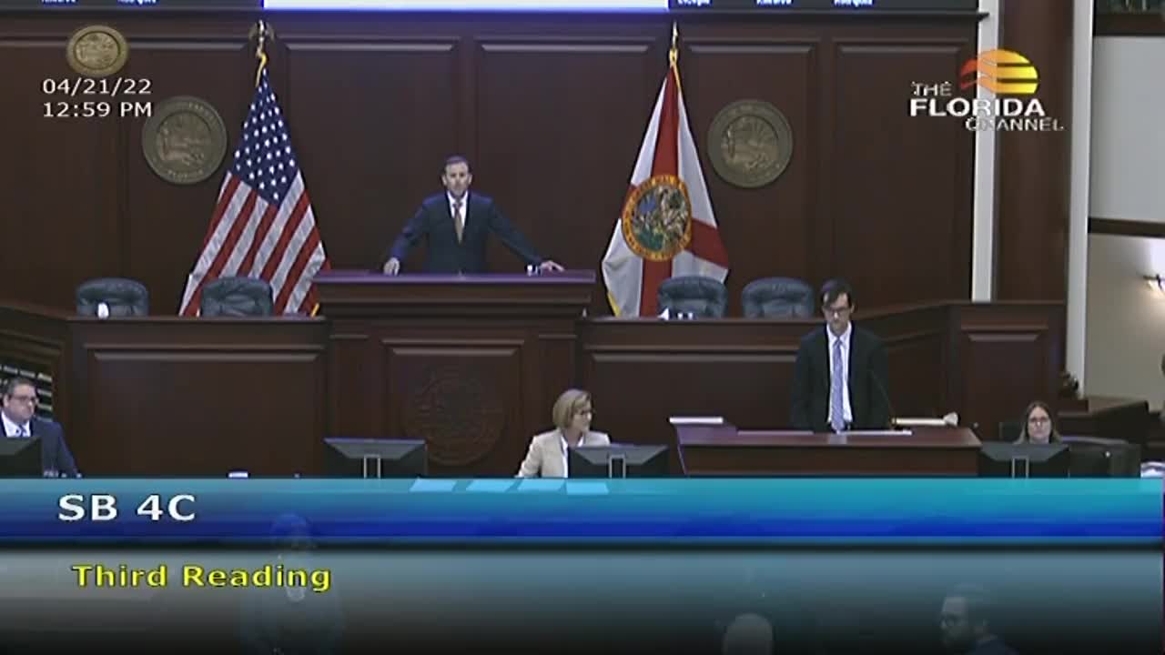 Florida House votes to strip Disney's self-government privileges while democrats scream outside