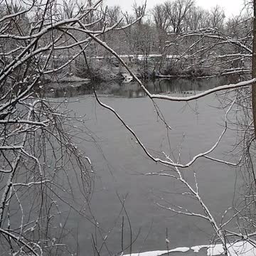 Current view Feb 13, 2022