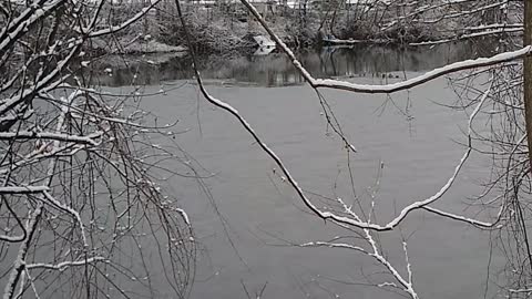 Current view Feb 13, 2022