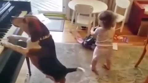 Funny animals videos 😻😻#cats#funnycats