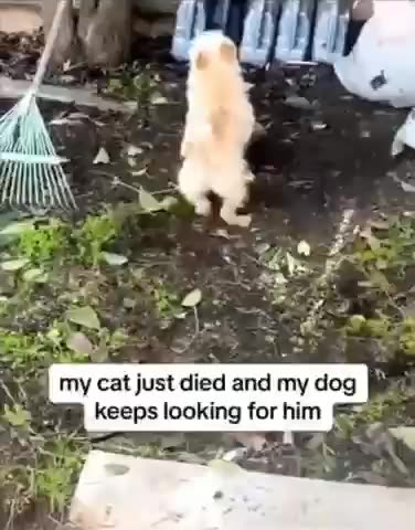 Good friends are hard to forget 😔😔