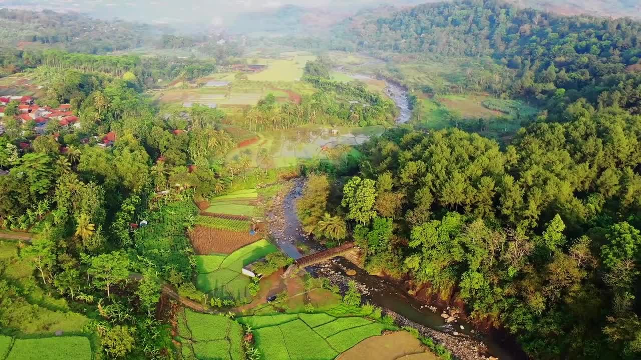 Best Rice fields Free Video | Nature | Solemn Music Background