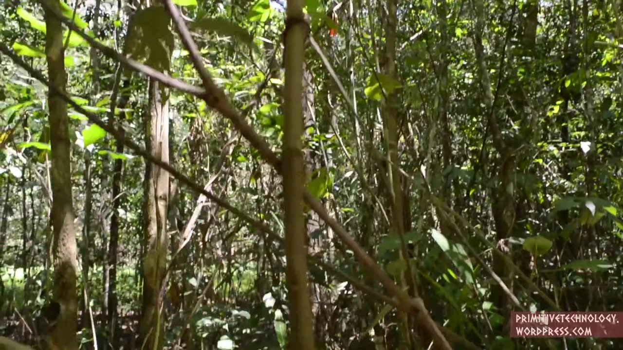 Primitive Technology: Cord drill and Pump drill