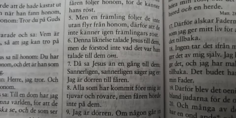 Johannes Evangelium 10