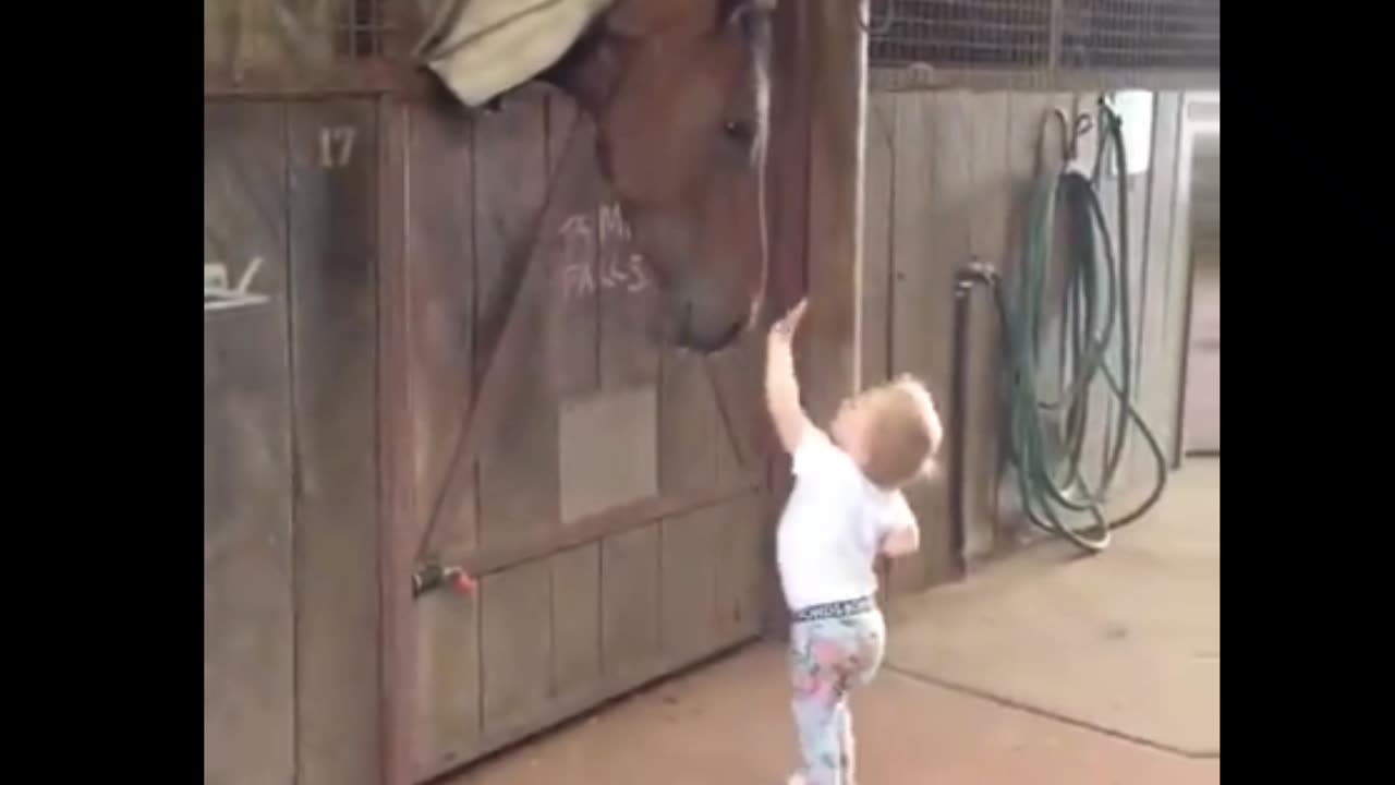 Little Girl Greets Horse Friends Every Morning πβΊοΈπ΄