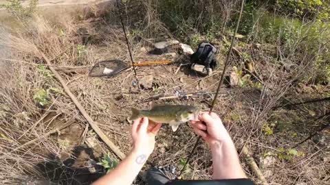 great fishing video