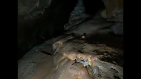 Cerjanska Cave-Serbia