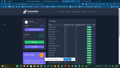 Custom Hits - Free Traffic Exchange