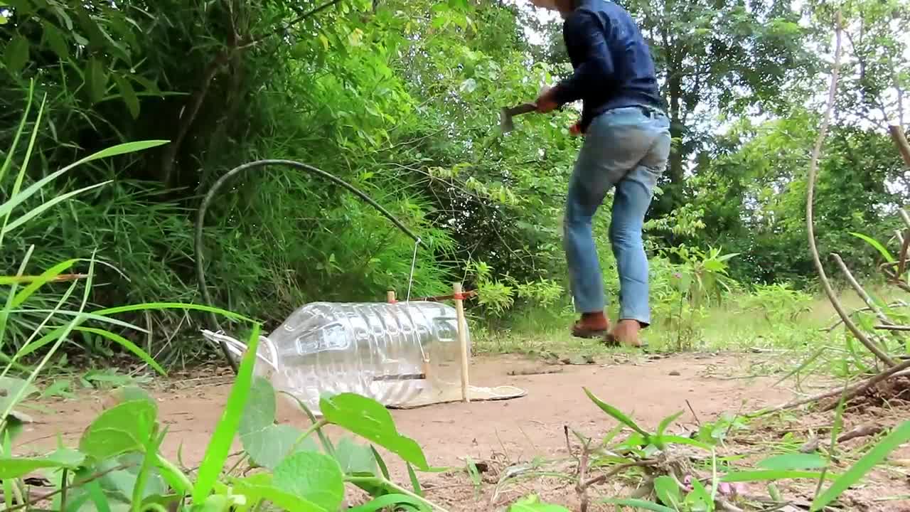 CreativeUniqueQuickParrotTrapUsing5LitersBottlePaperAndWoodsBirdTrapWorking100p8