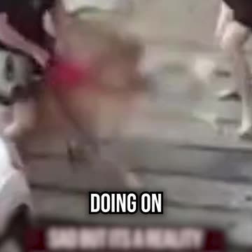 Golden Retriever Attacks Small Dog