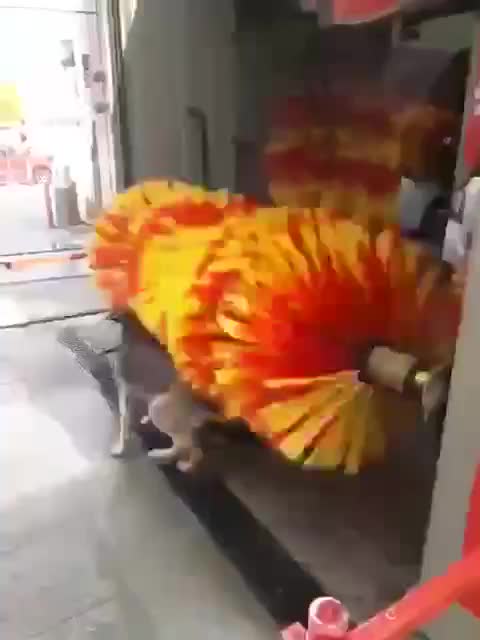 Anti-Loosh Video Number 6. LOOSH is real and bad. Explained below and watch the video!