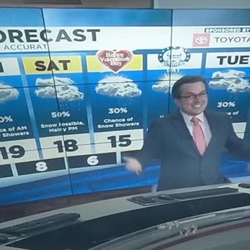 Texas Lawyer Forgot to Take Off The Cat Filter and The jornalista cant stop laughing