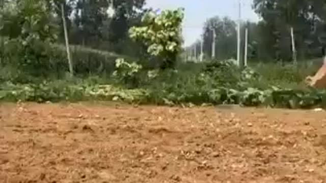 Kung-fu Farmer